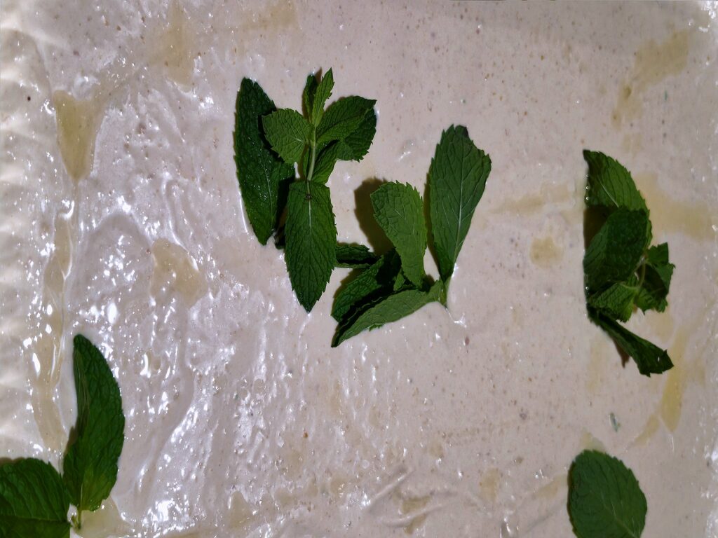 Fresh house-made hummus tray with mint and olive oil - Marhaba Grill catering, Minneapolis